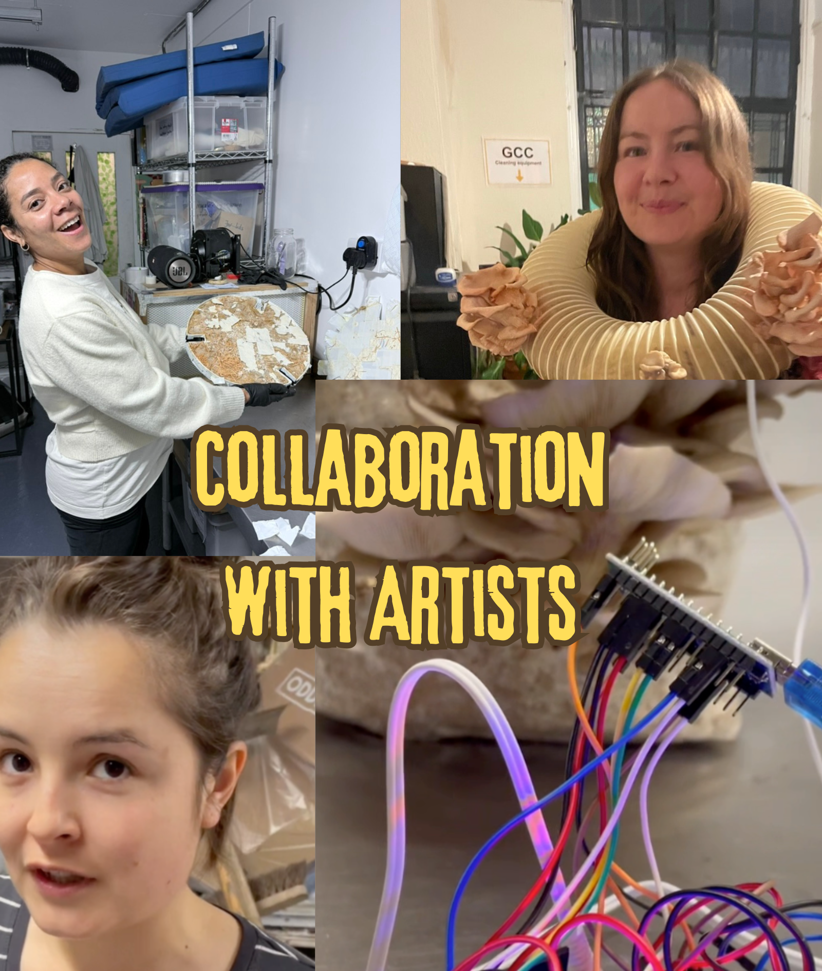 Community — Adi's Urban Mushrooms